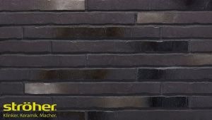 Фасадная клинкерная плитка STROEHER RIEGEL 50 №453 silber-schwarz ригель 490*40*14 неглазурованная